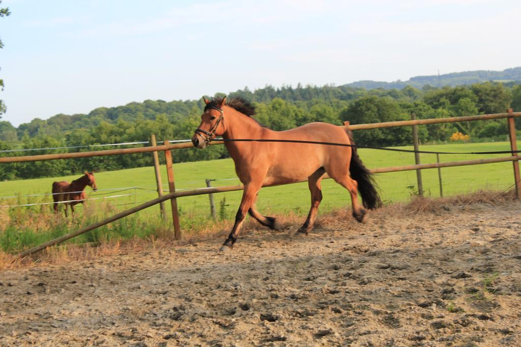 Gites De La Haie Plouegat-Moysan Luaran gambar